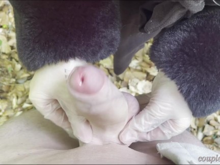 Amatőr faszverés az erdőben